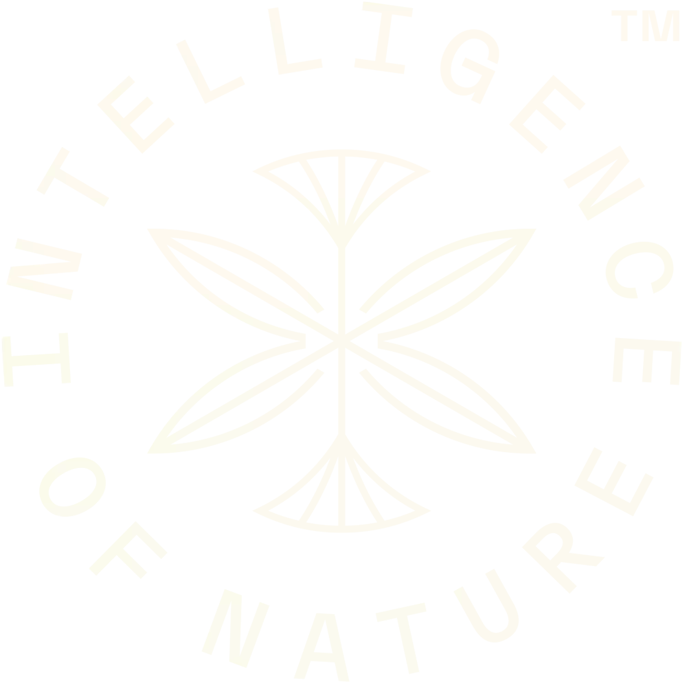 Gut Health Support Supplement Under Construction